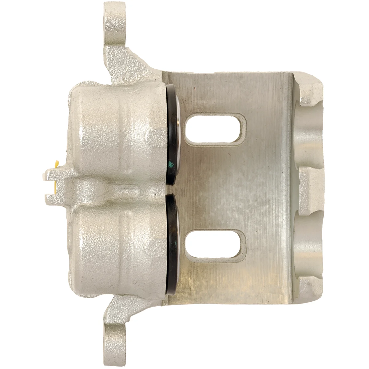 Jarrusatula sopii Nissan