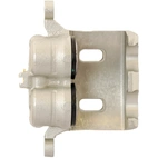 Jarrusatula sopii Nissan