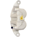 Jarrusatula sopii Nissan