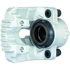 Jarrusatula sopii BMW