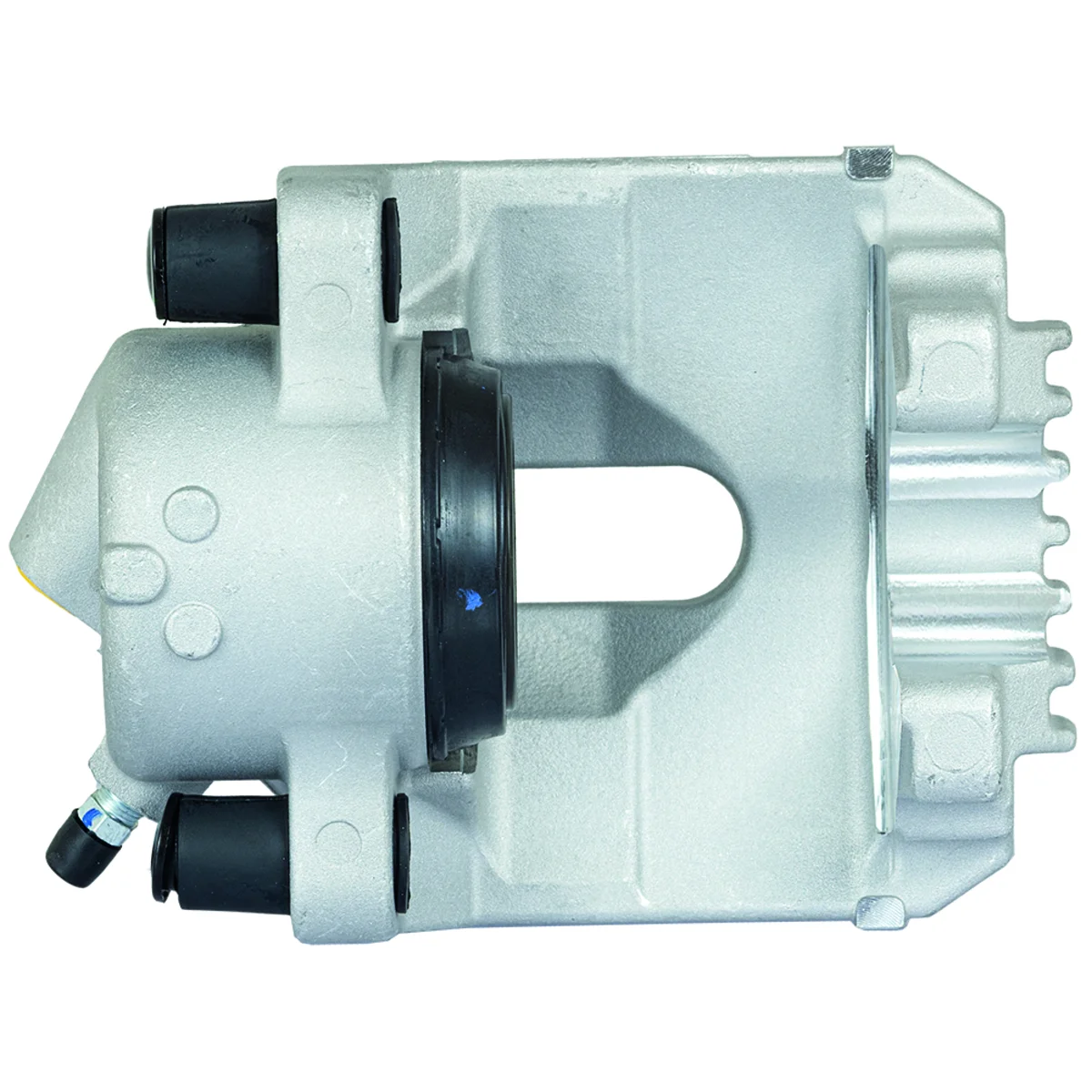 Jarrusatula sopii BMW