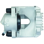 Jarrusatula sopii BMW