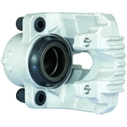 Jarrusatula sopii BMW