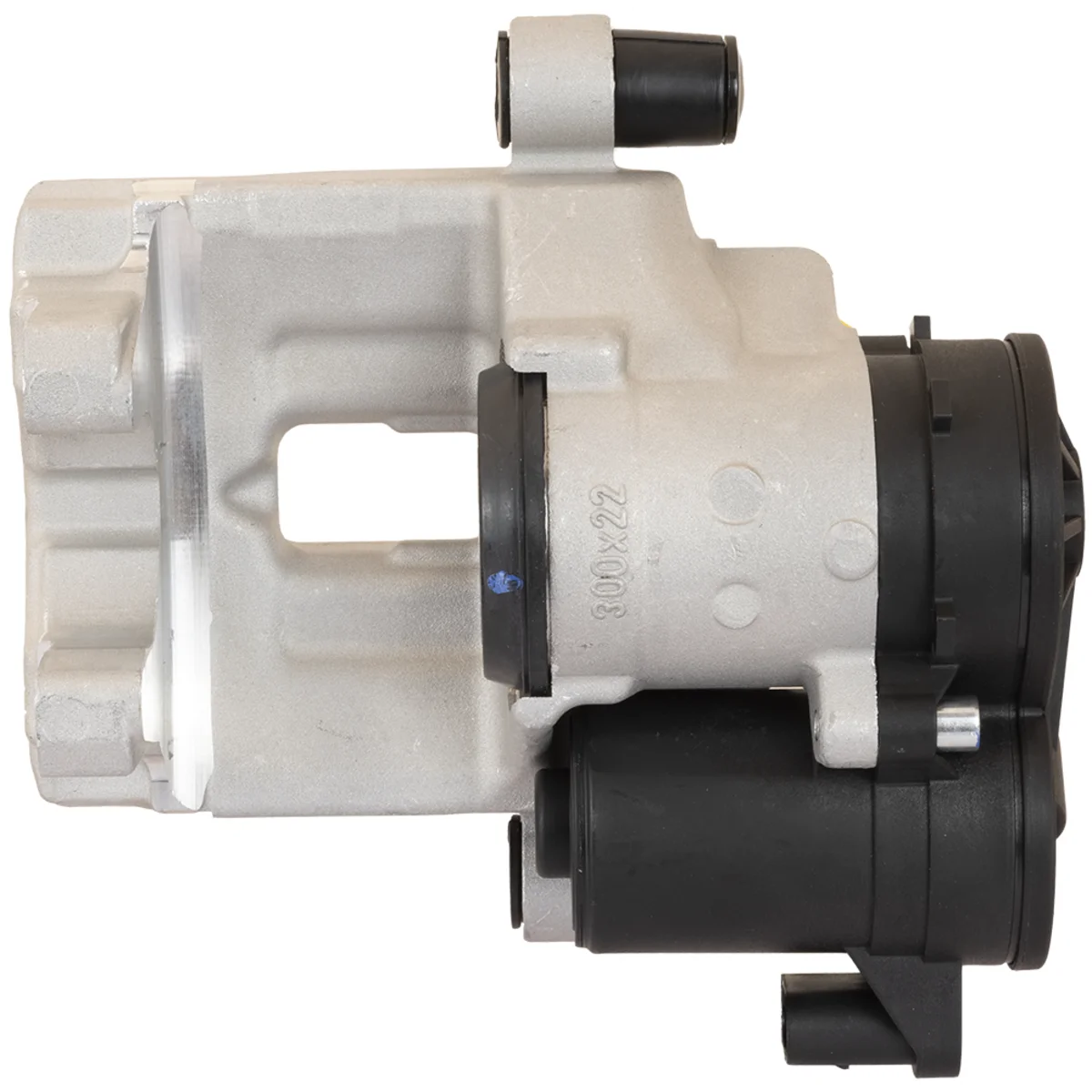 Jarrusatula sopii Mercedes-Benz