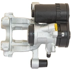 Jarrusatula sopii BMW