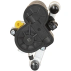 Jarrusatula sopii BMW