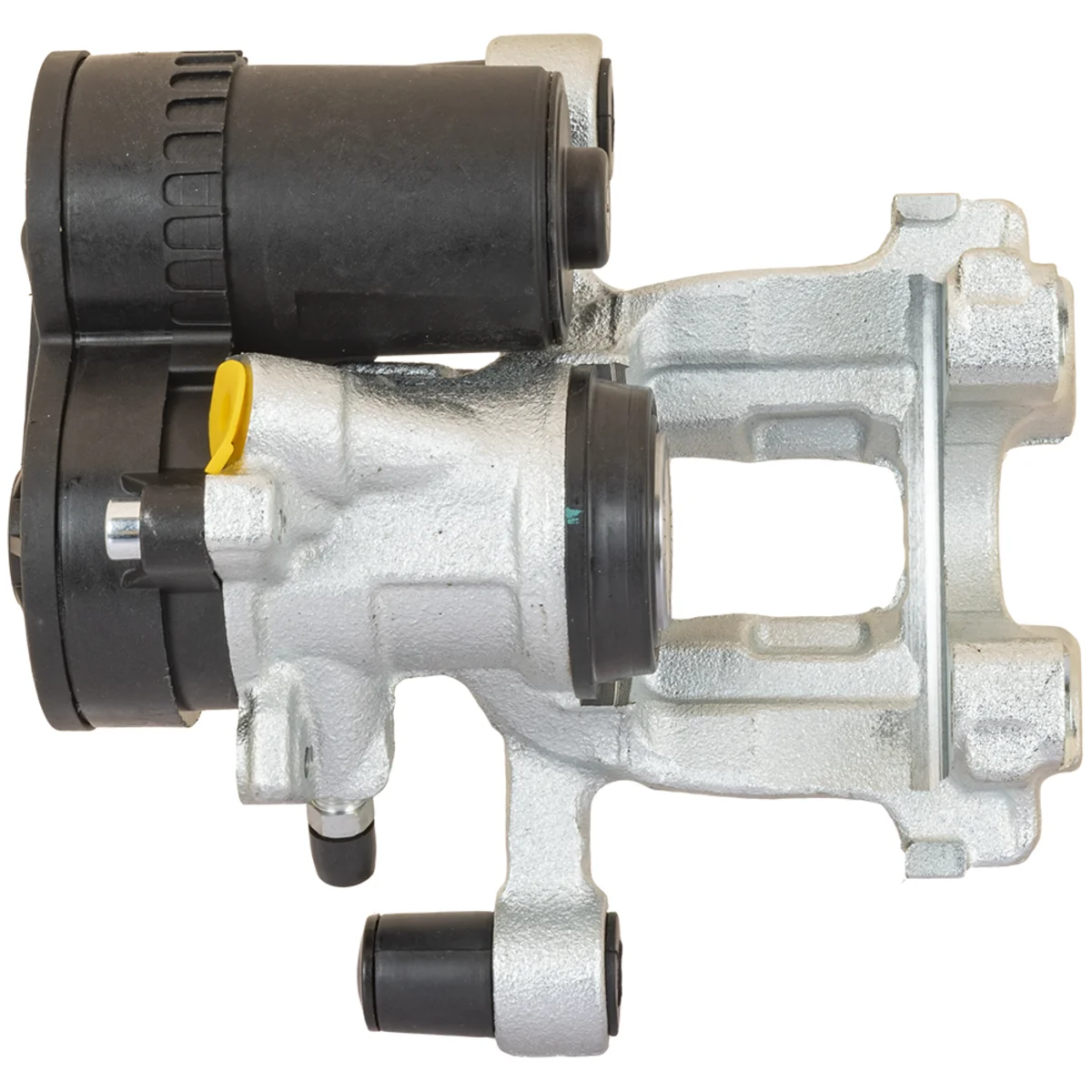 Jarrusatula sopii BMW