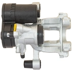 Jarrusatula sopii BMW