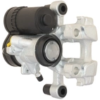 Jarrusatula sopii BMW