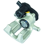 Jarrusatula sopii Audiin