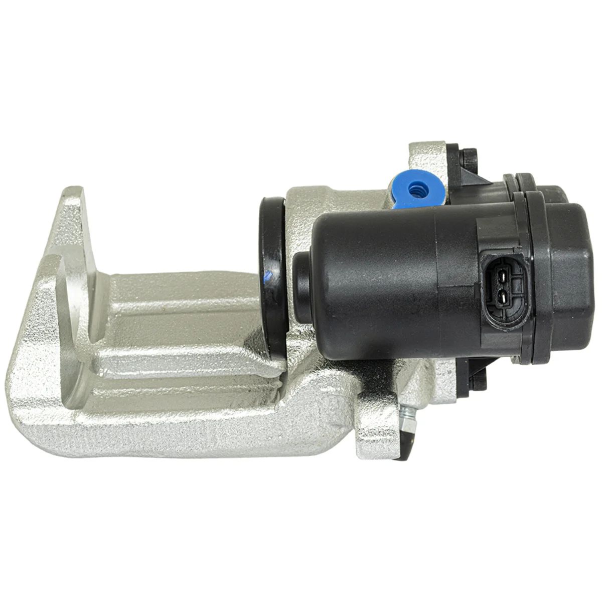 Jarrusatula sopii Audiin