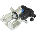 Jarrusatula sopii Audiin