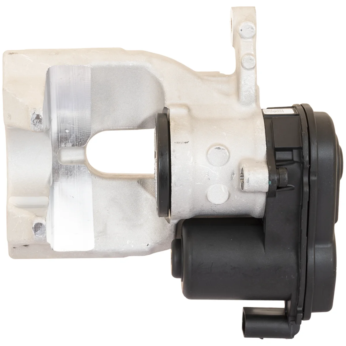 Jarrusatula sopii Mercedes-Benz