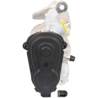 Jarrusatula sopii Mercedes-Benz