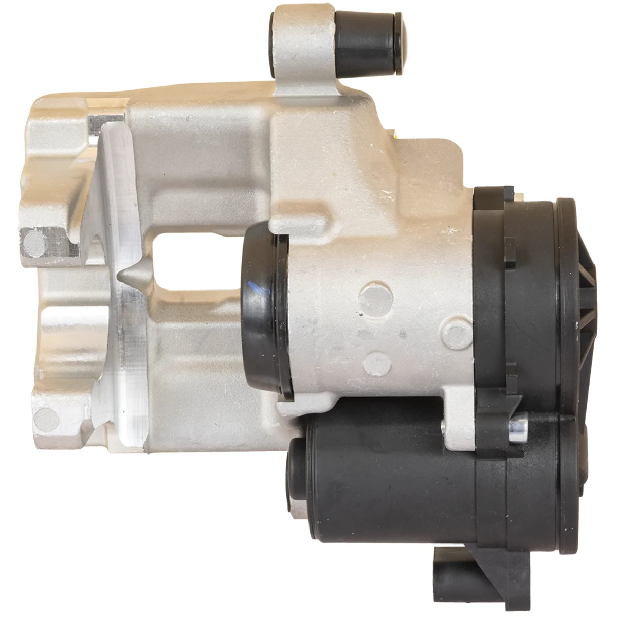 Jarrusatula sopii Mercedes-Benz