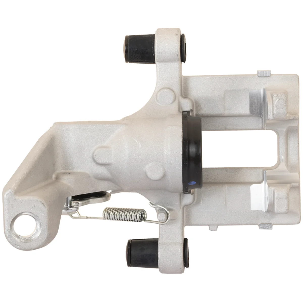 Jarrusatula sopii Peugeot