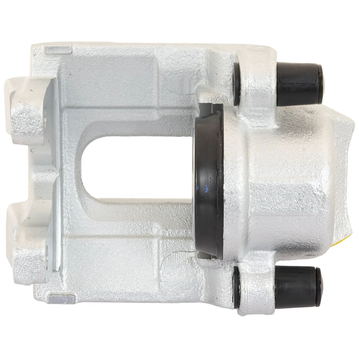 Jarrusatula sopii BMW