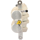 Jarrusatula sopiva Toyota