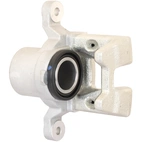 Jarrusatula sopii Hyundai/Kia