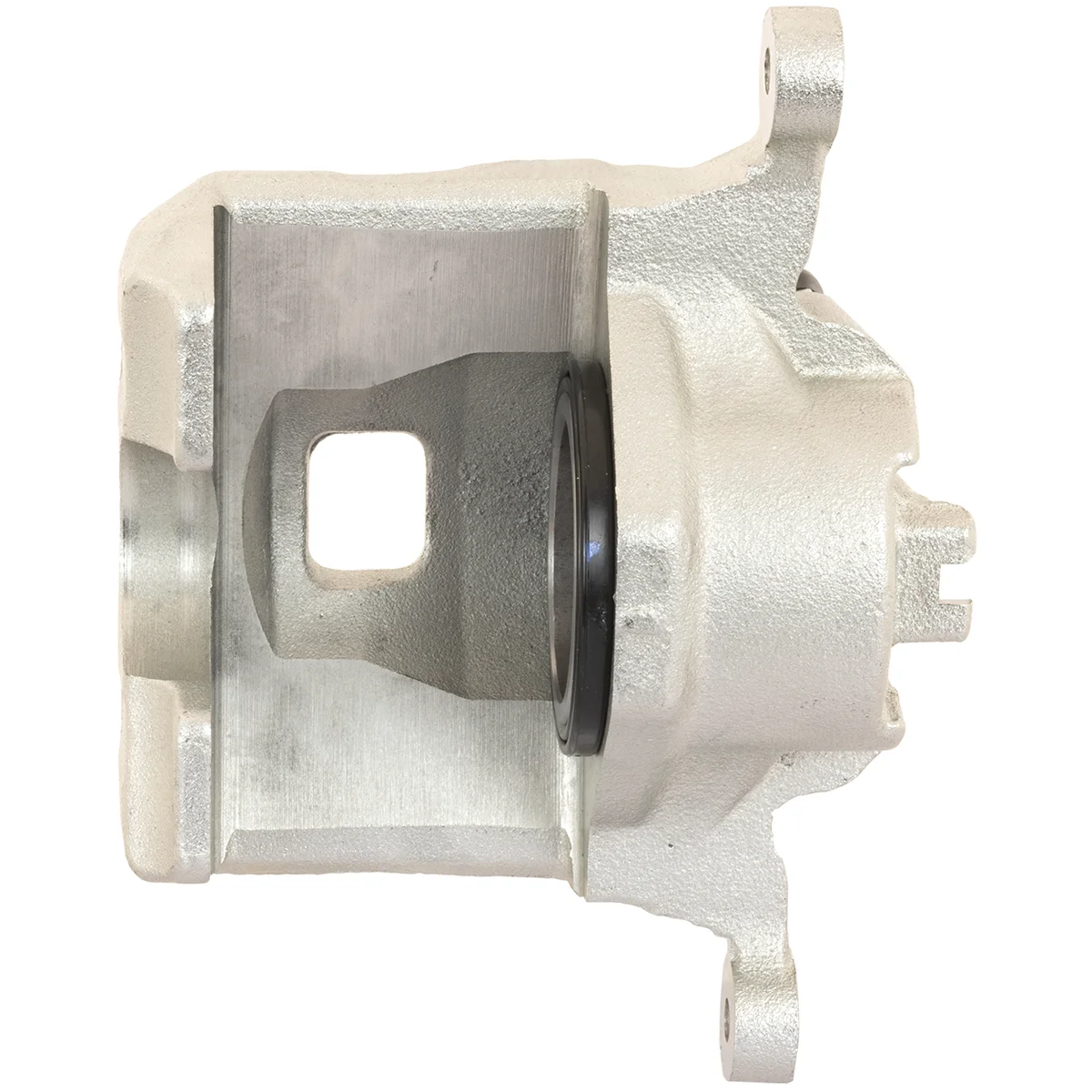 Jarrusatula sopii Nissan