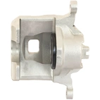 Jarrusatula sopii Nissan