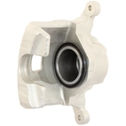 Jarrusatula sopii Nissan