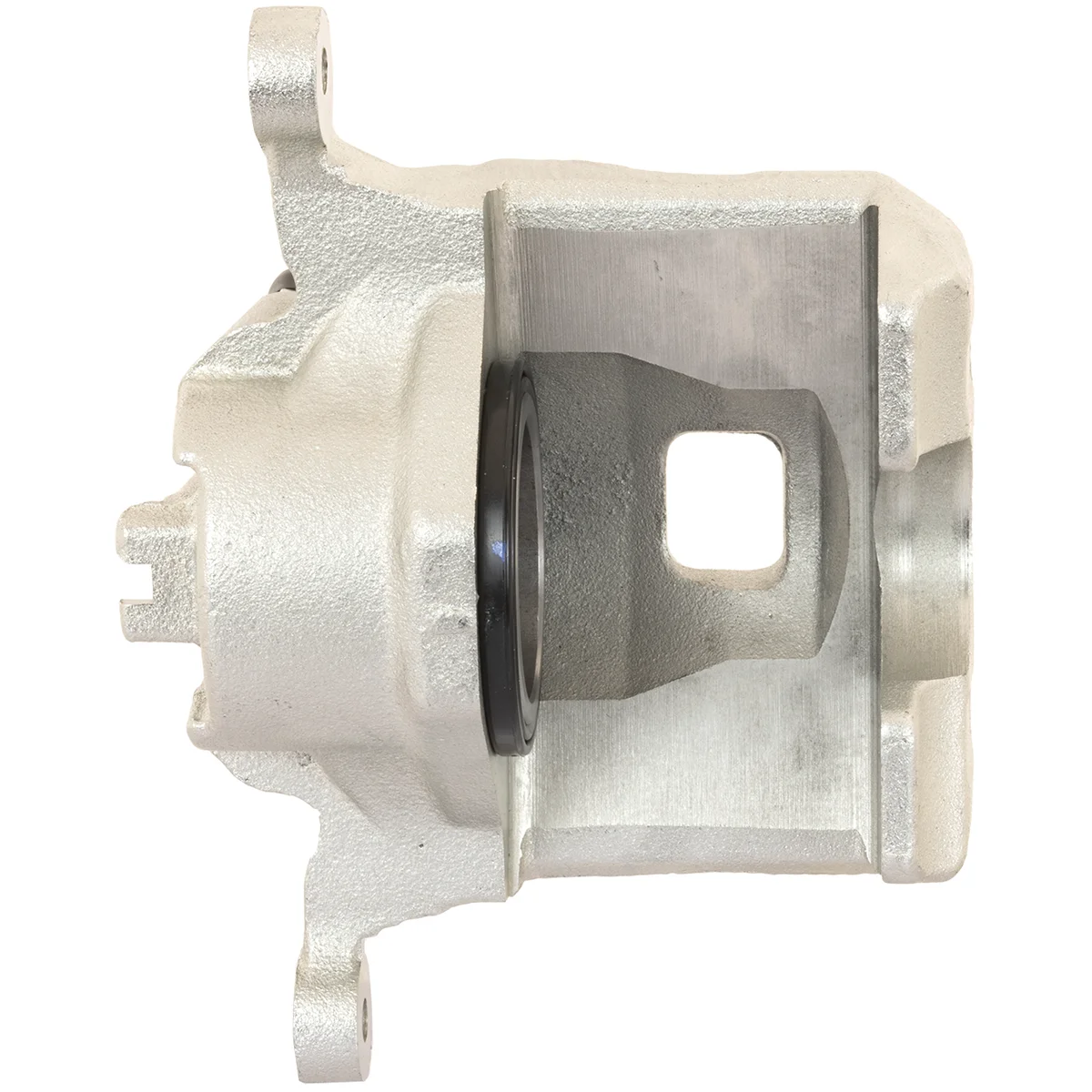 Jarrusatula sopii Nissan