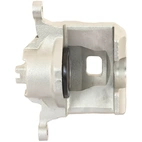 Jarrusatula sopii Nissan