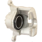 Jarrusatula sopii Nissan