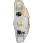 Jarrusatula sopii BMW