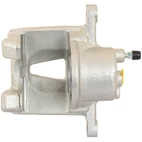 Jarrusatula sopiva Toyota