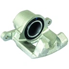 Jarrusatula sopii Toyota