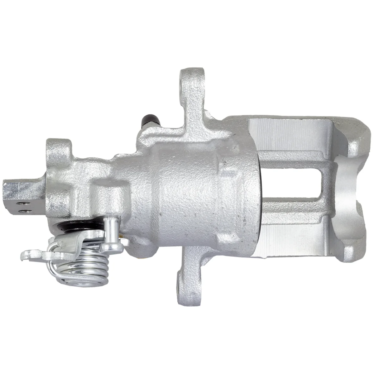 Jarrusatula sopii Honda