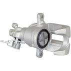 Jarrusatula sopii Honda