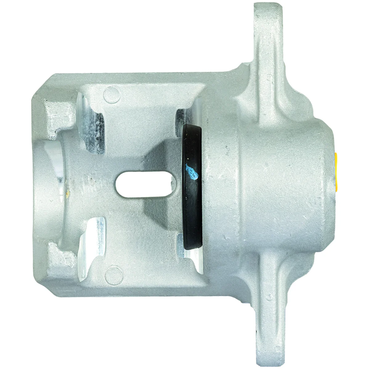 Jarrusatula sopii Subaru