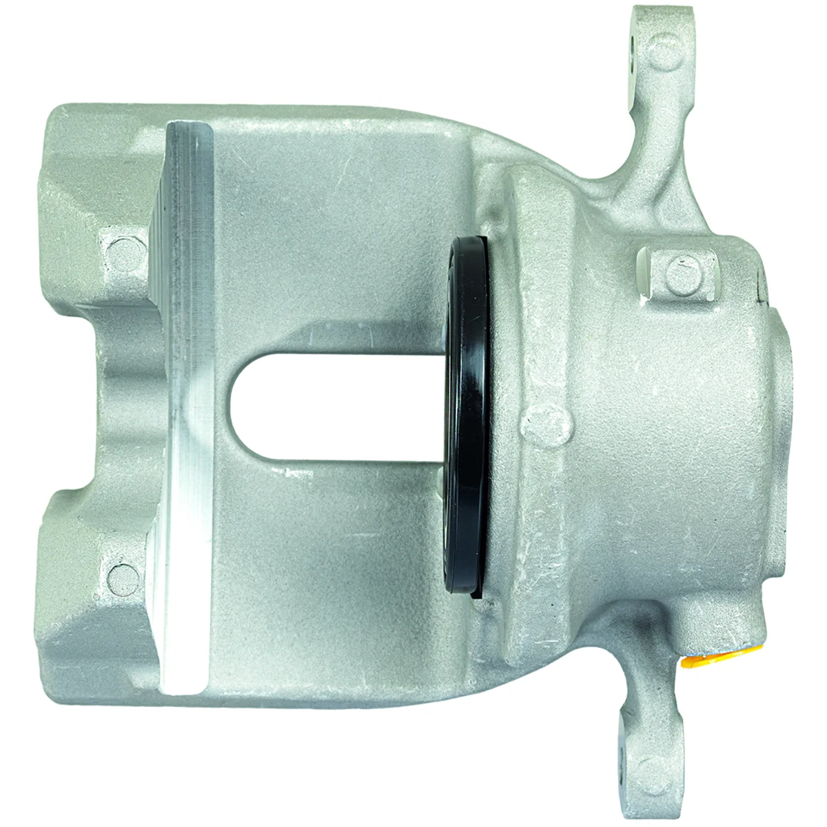 Jarrusatula sopii BMW