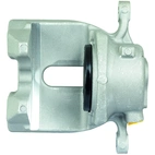 Jarrusatula sopii BMW