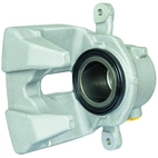 Jarrusatula sopii BMW