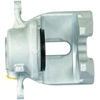 Jarrusatula sopii BMW