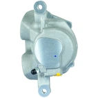 Jarrusatula sopii BMW