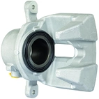 Jarrusatula sopii BMW