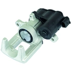 Jarrusatula sopii PSA