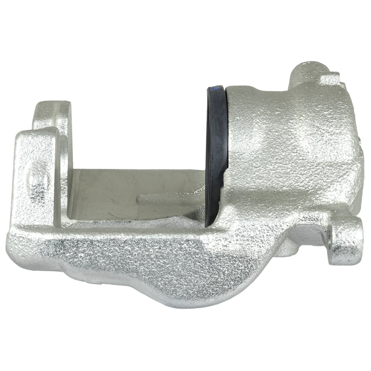 Jarrusatula sopii Mercedes