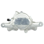 Jarrusatula sopii Mercedes