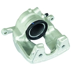 Jarrusatula sopii Mercedes