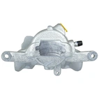 Jarrusatula sopii Mercedes