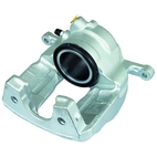 Jarrusatula sopii Mercedes