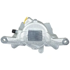 Jarrusatula sopii Mercedes