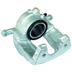 Jarrusatula sopii Mercedes