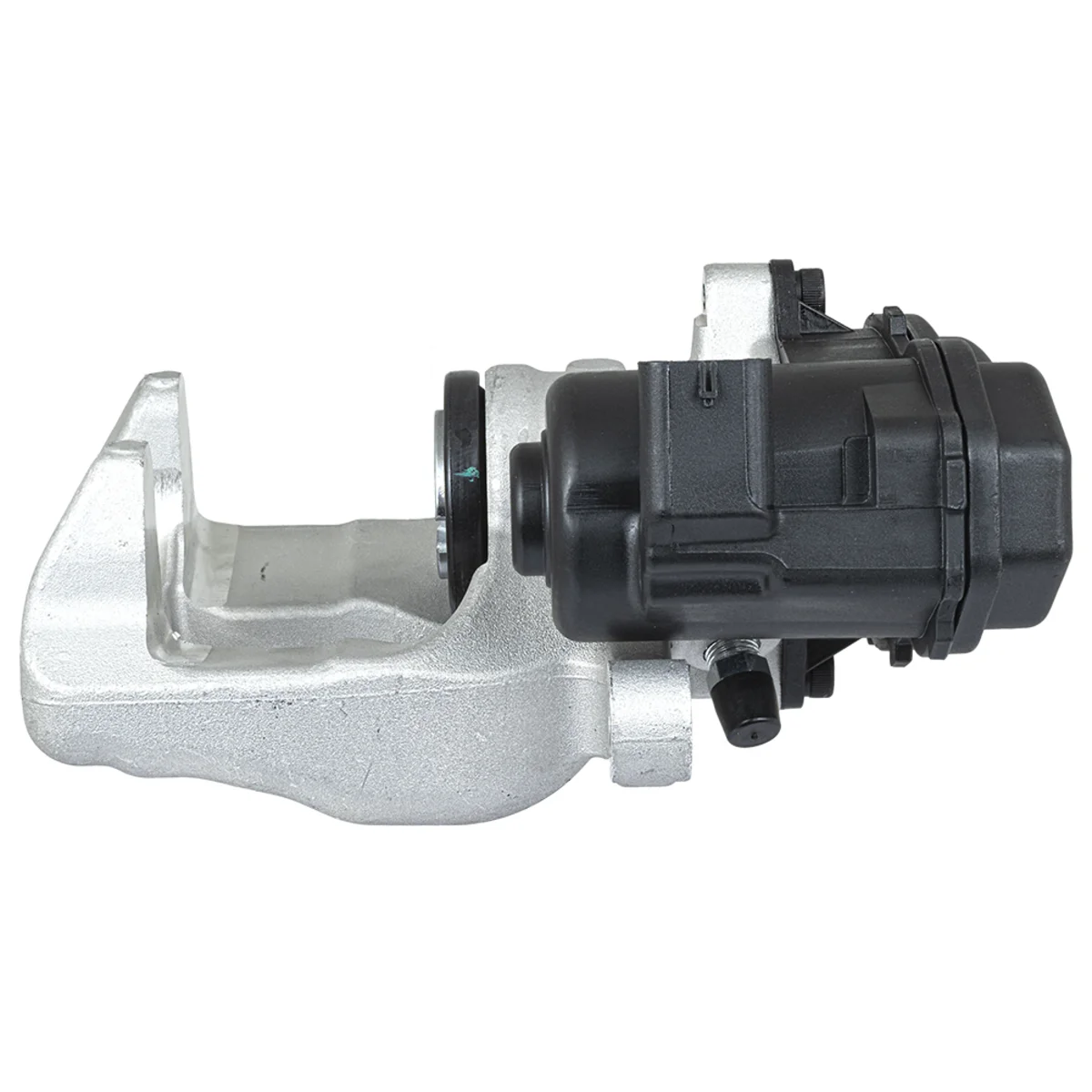 Jarrusatula sopii Mercedes